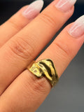 Anillo Nébul