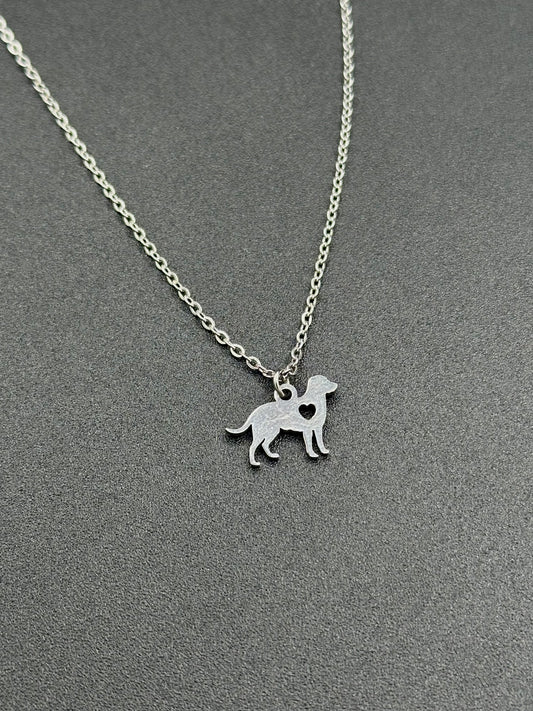 Collar Puppy
