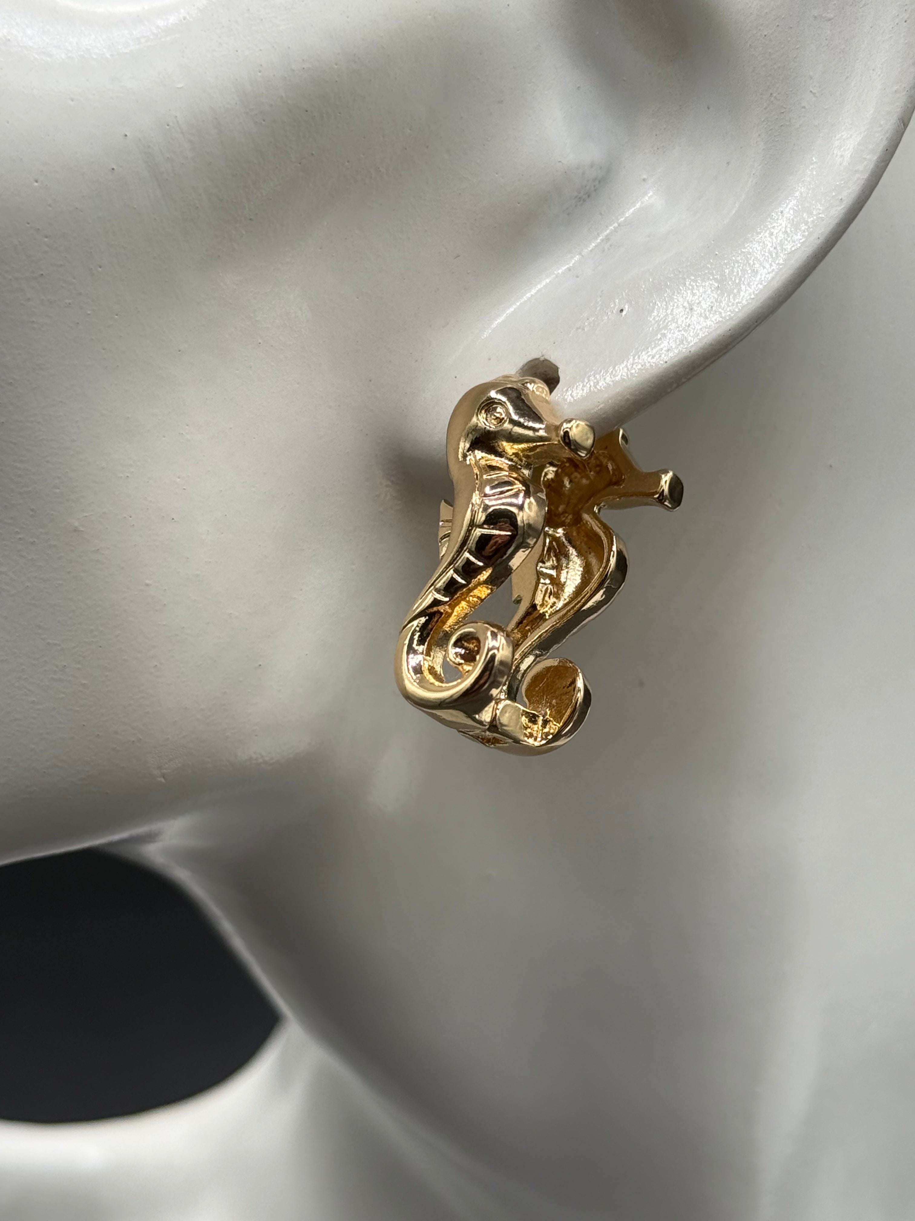 Aretes Argollas Hippo