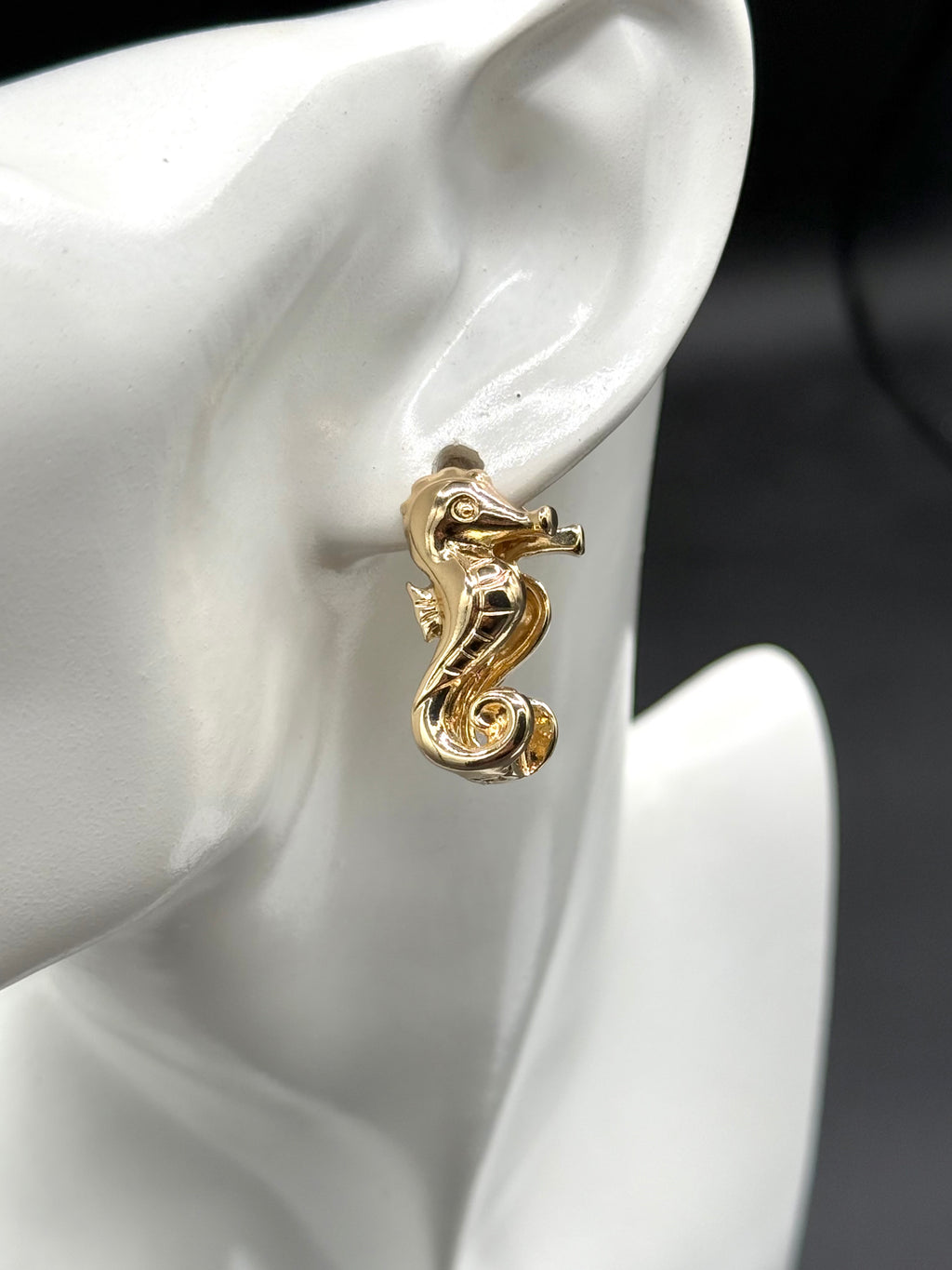 Aretes Argollas Hippo