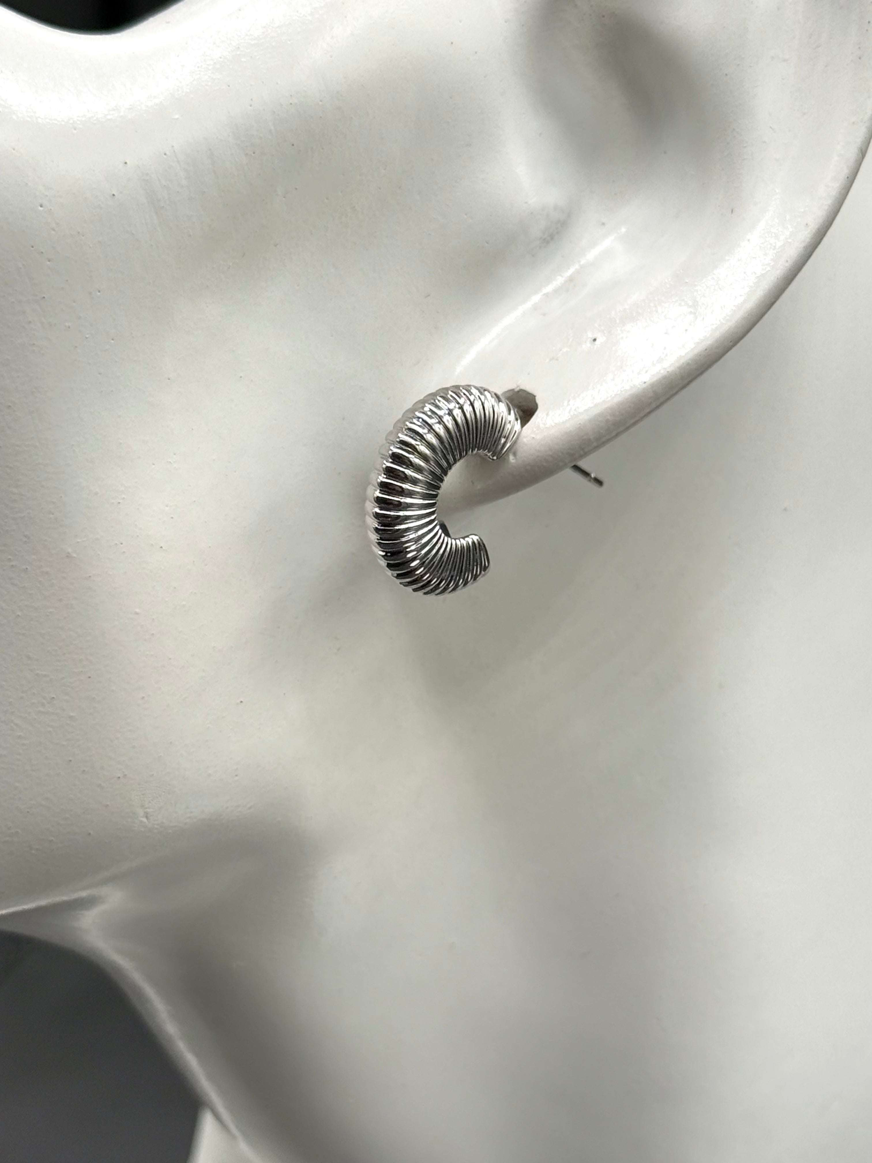 Aretes Crisálida
