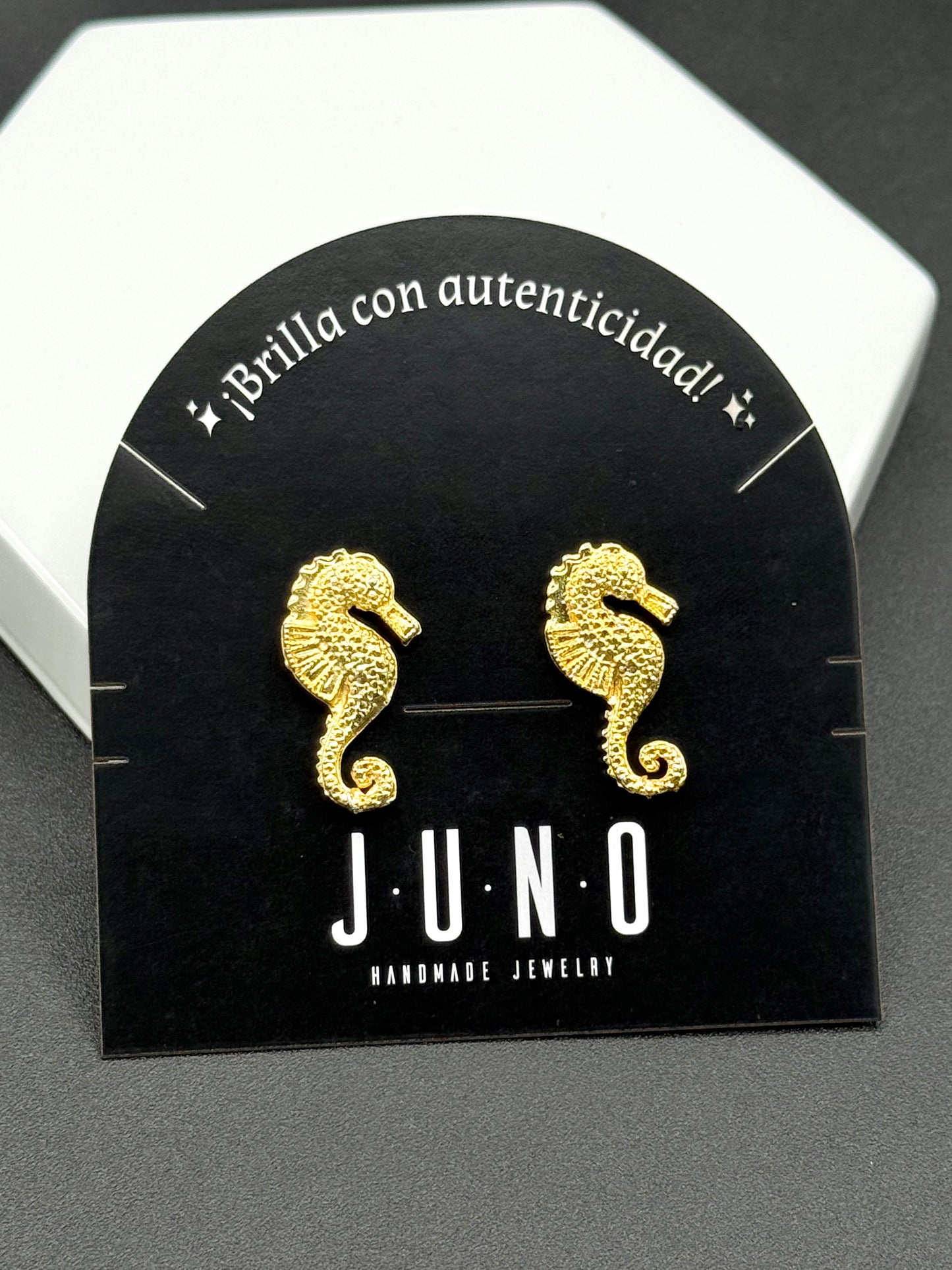 Aretes Seahorse