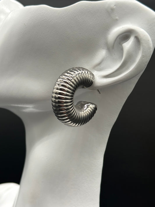 Aretes Caracola