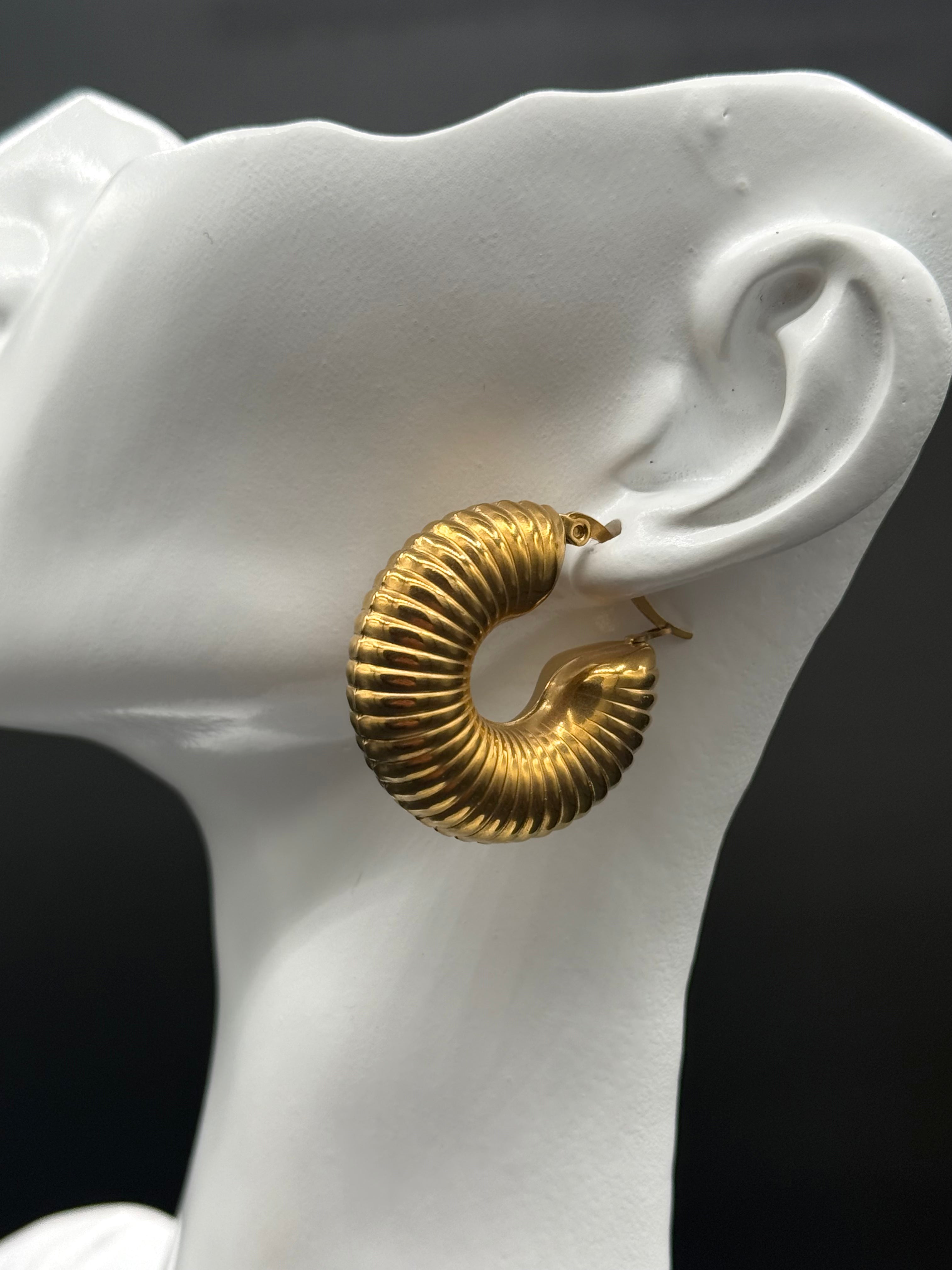 Aretes Argollas Caracolina